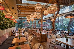 Αιθουσα Σαμαρτζης