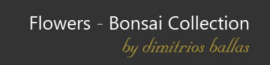 BONSAI-COLLECTION