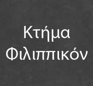 ΦΙΛΙΠΠΙΚΟΝ