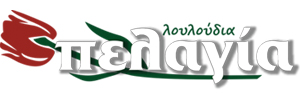 ΣΤΕΦΑΝΑ ΓΑΜΟΥ - ΛΟΥΛΟΥΔΙΑ ΠΕΛΑΓΙΑ